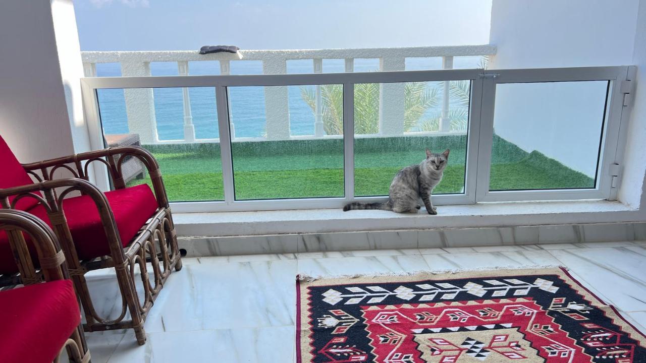 Wadi Shab Beach Resort 01 طيوي المظهر الخارجي الصورة